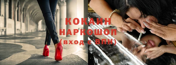 ПСИЛОЦИБИНОВЫЕ ГРИБЫ Бородино