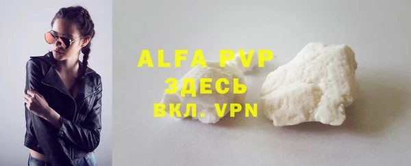 ПСИЛОЦИБИНОВЫЕ ГРИБЫ Бородино