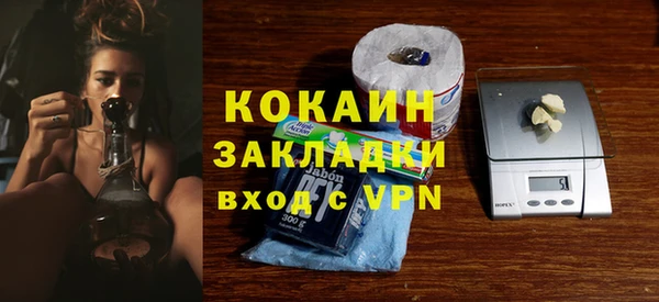ПСИЛОЦИБИНОВЫЕ ГРИБЫ Бородино