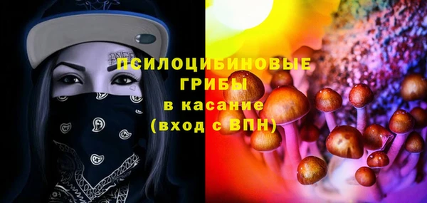 мяу мяу мука Болотное