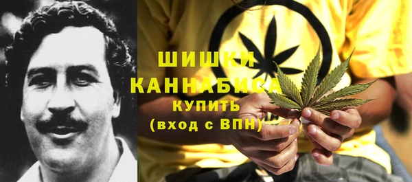 ПСИЛОЦИБИНОВЫЕ ГРИБЫ Бородино
