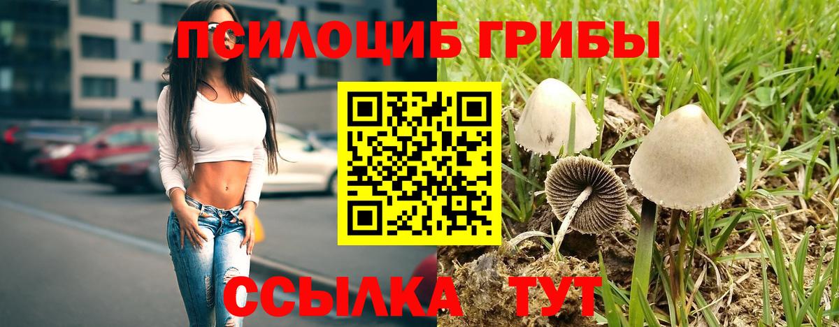 Псилоцибиновые грибы Psilocybine cubensis Минеральные Воды