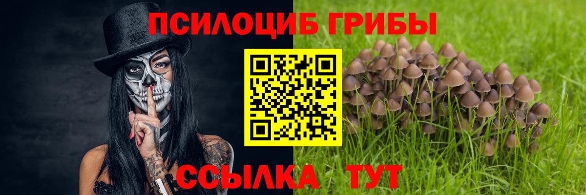 Минеральные Воды  Галлюциногенные грибы Magic Shrooms  Псилоцибиновые грибы GOLDEN TEACHER  Вход с VPN 